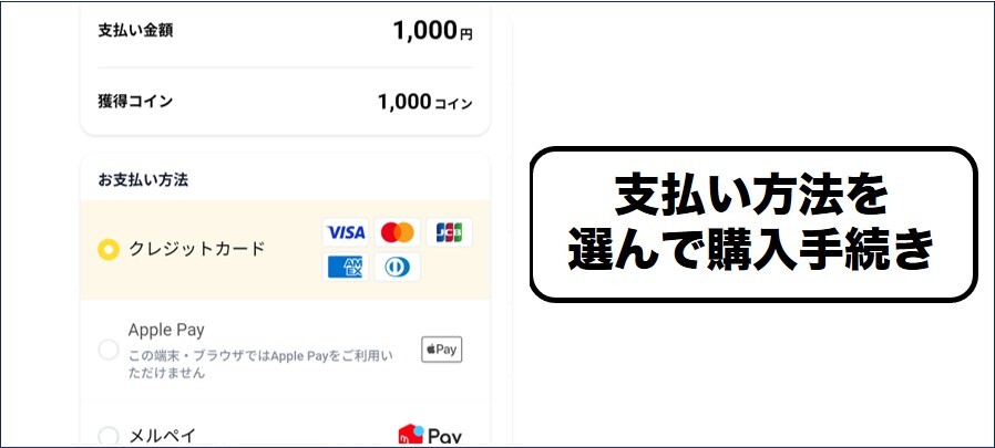 オリパスタジアム 支払い方法を選択