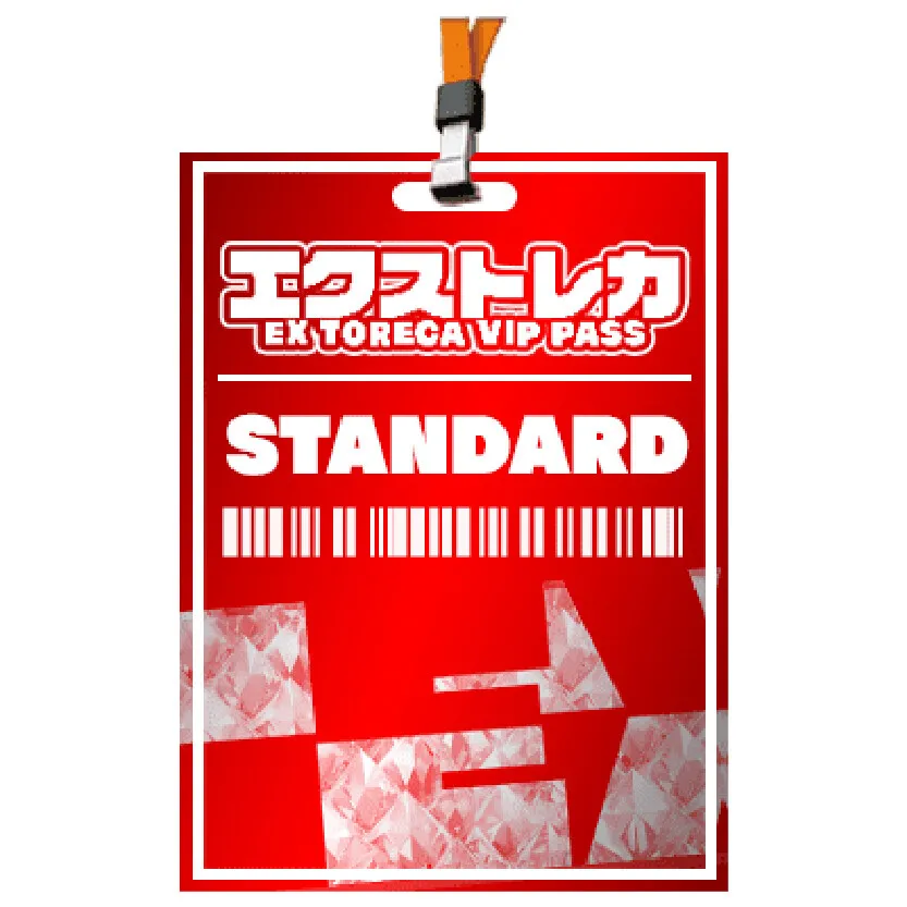 エクストレカVIPパス_スタンダードVIP