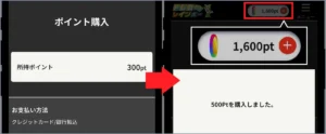 トレカレインボー招待コード-⑤初回課金を完了する