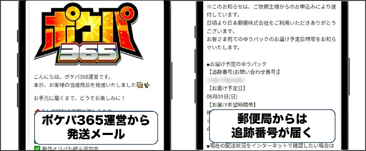 依頼日の当日に配送された