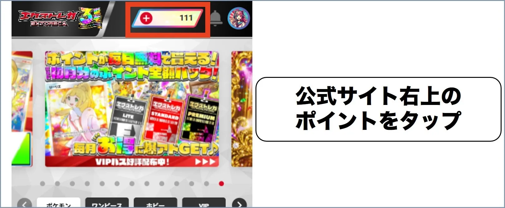 公式サイト右上のポイントをタップ