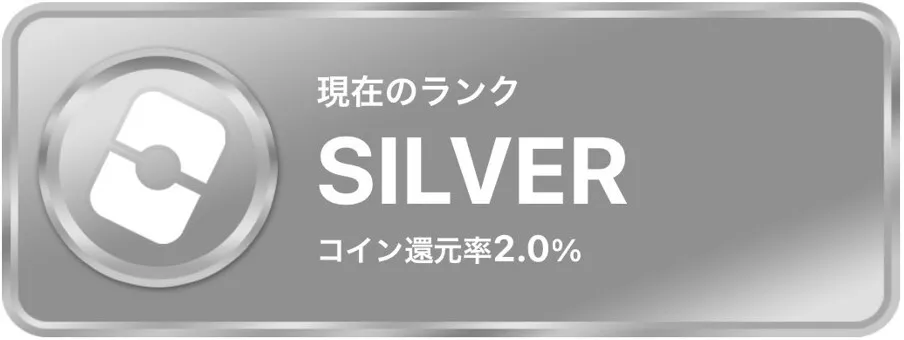 オリパワンシルバー