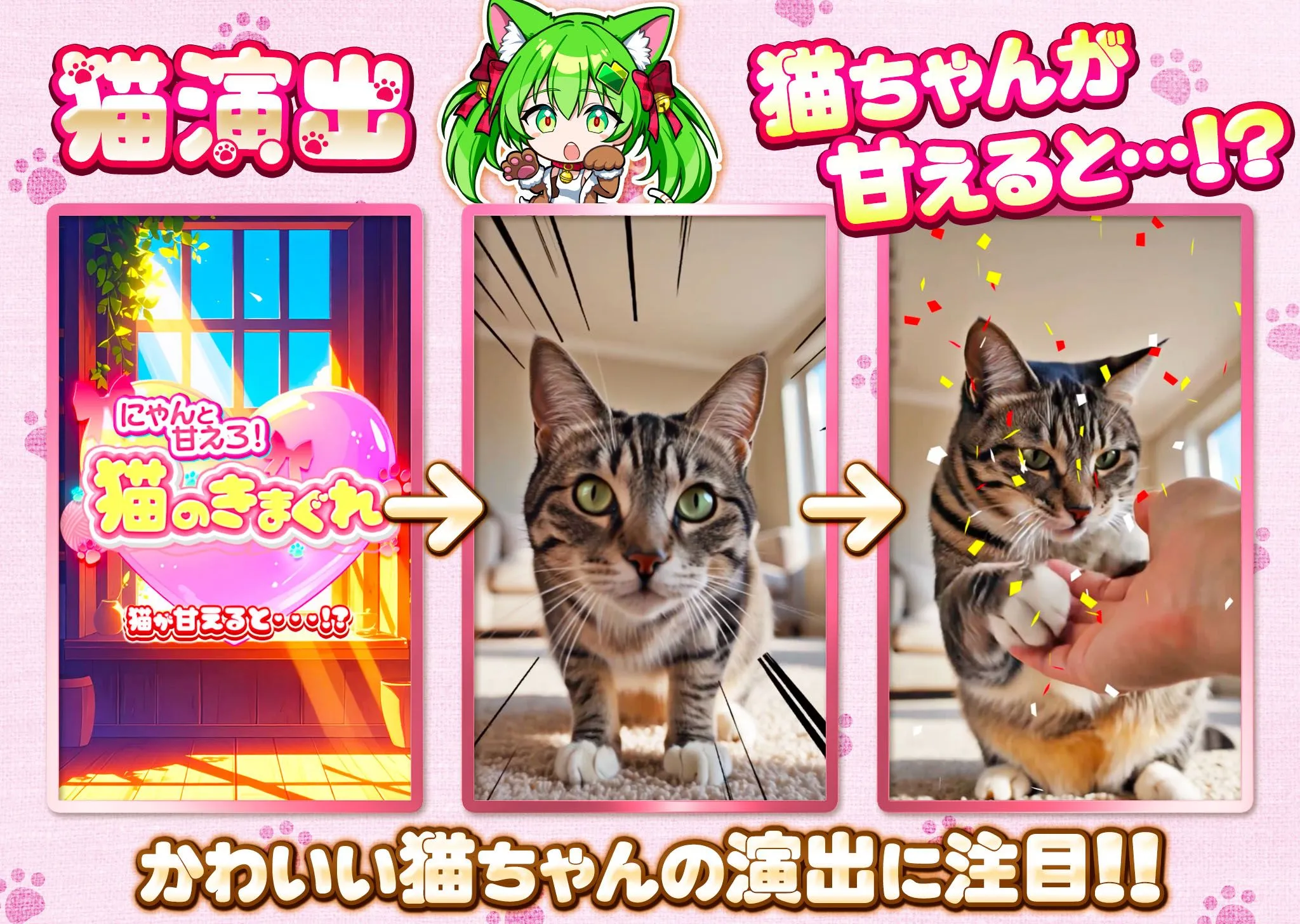 日本トレカセンター 猫演出1