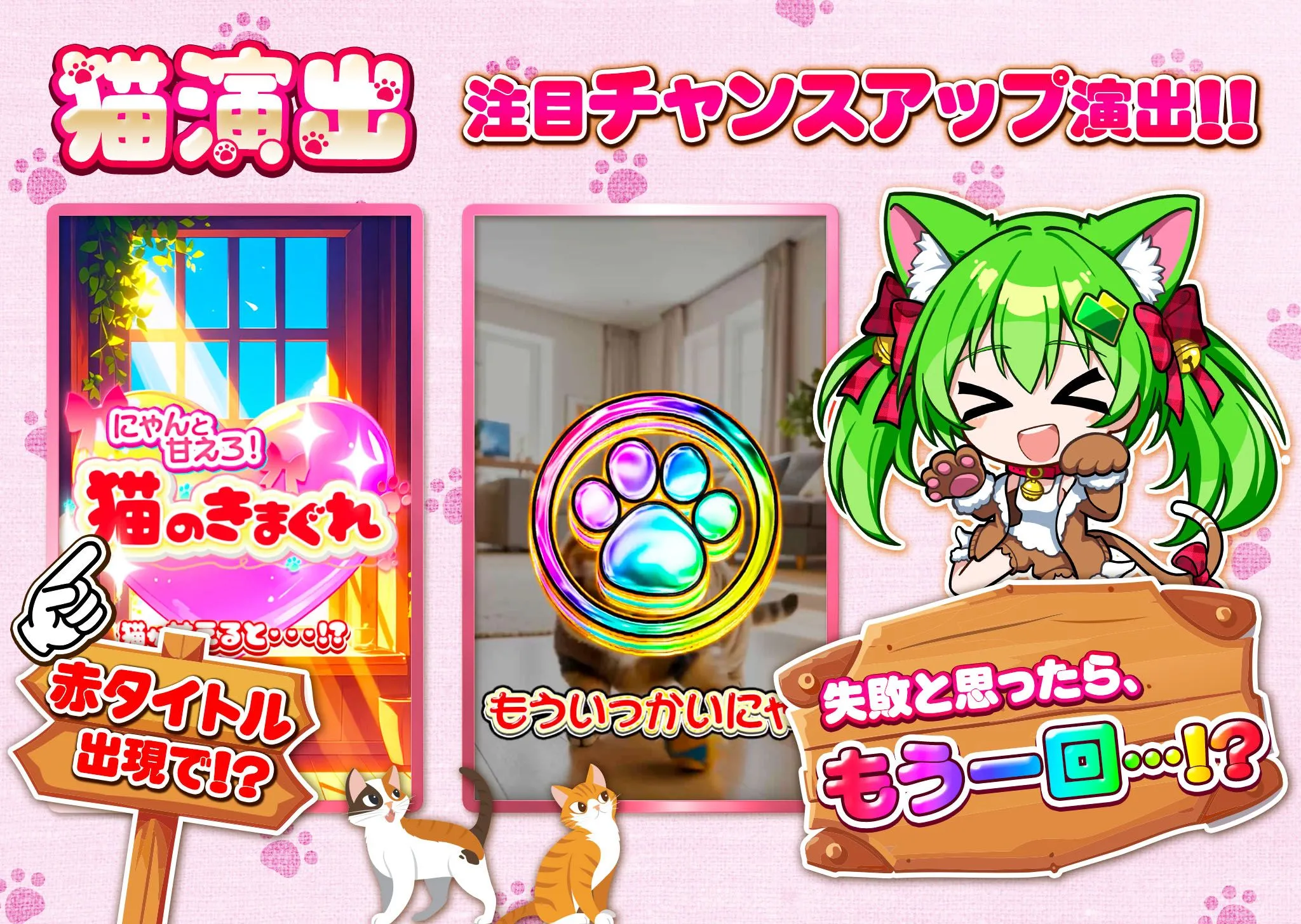 日本トレカセンター 猫演出2